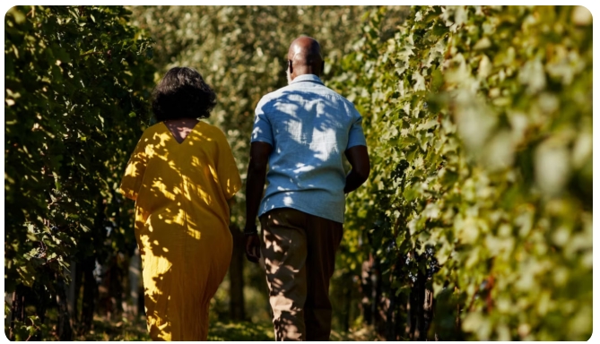 Pure Luxe in Punta Mita